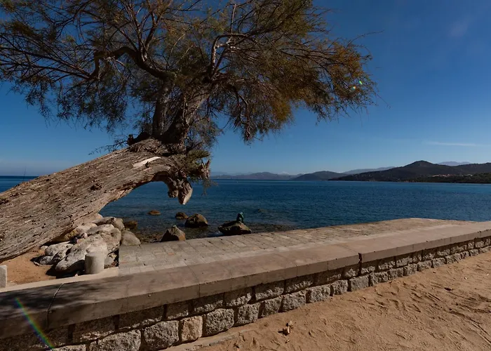 公寓 Posidonie Bodri - Pigna By Interhome *